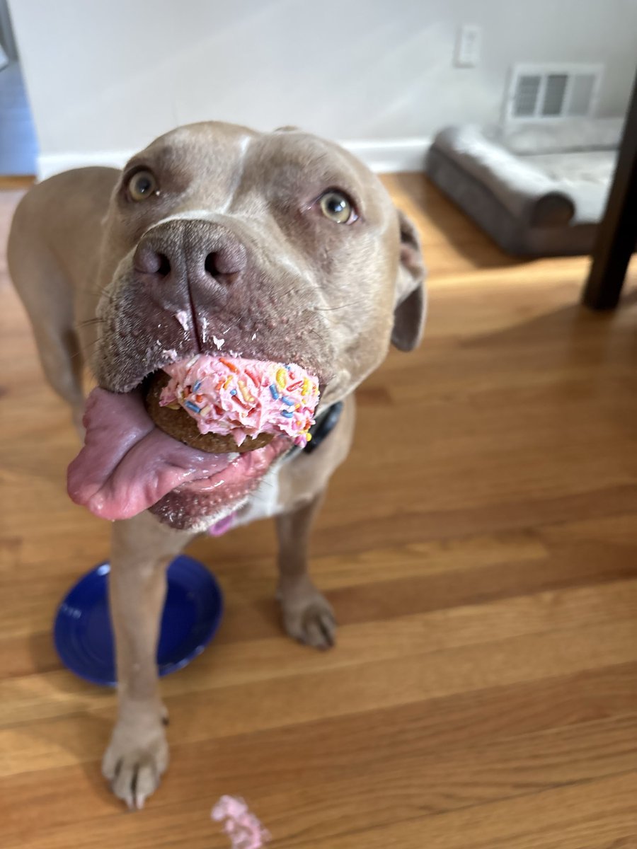 Sarah Axelrath MD tweet media