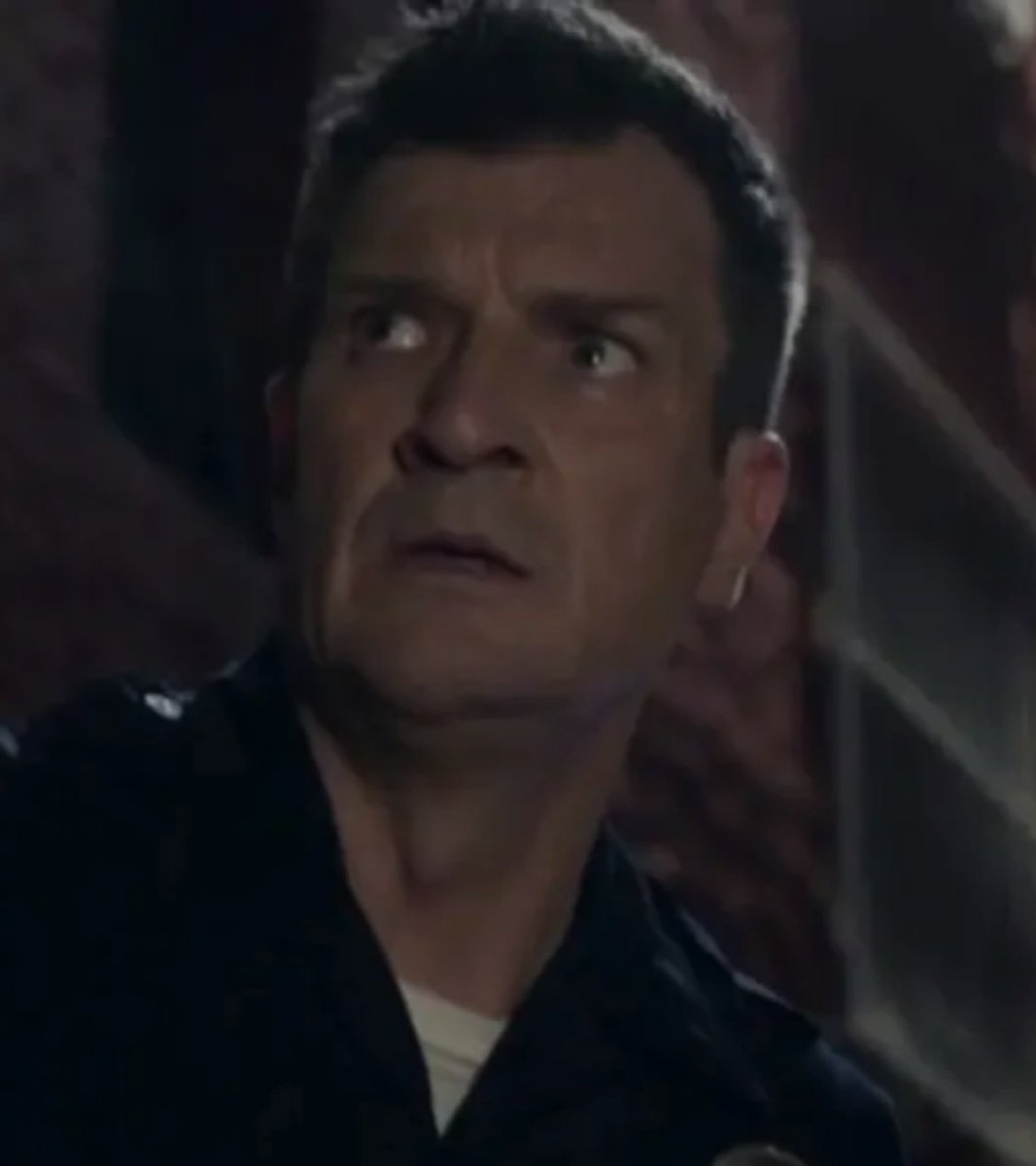 Birgit R. 🌻 tweet media