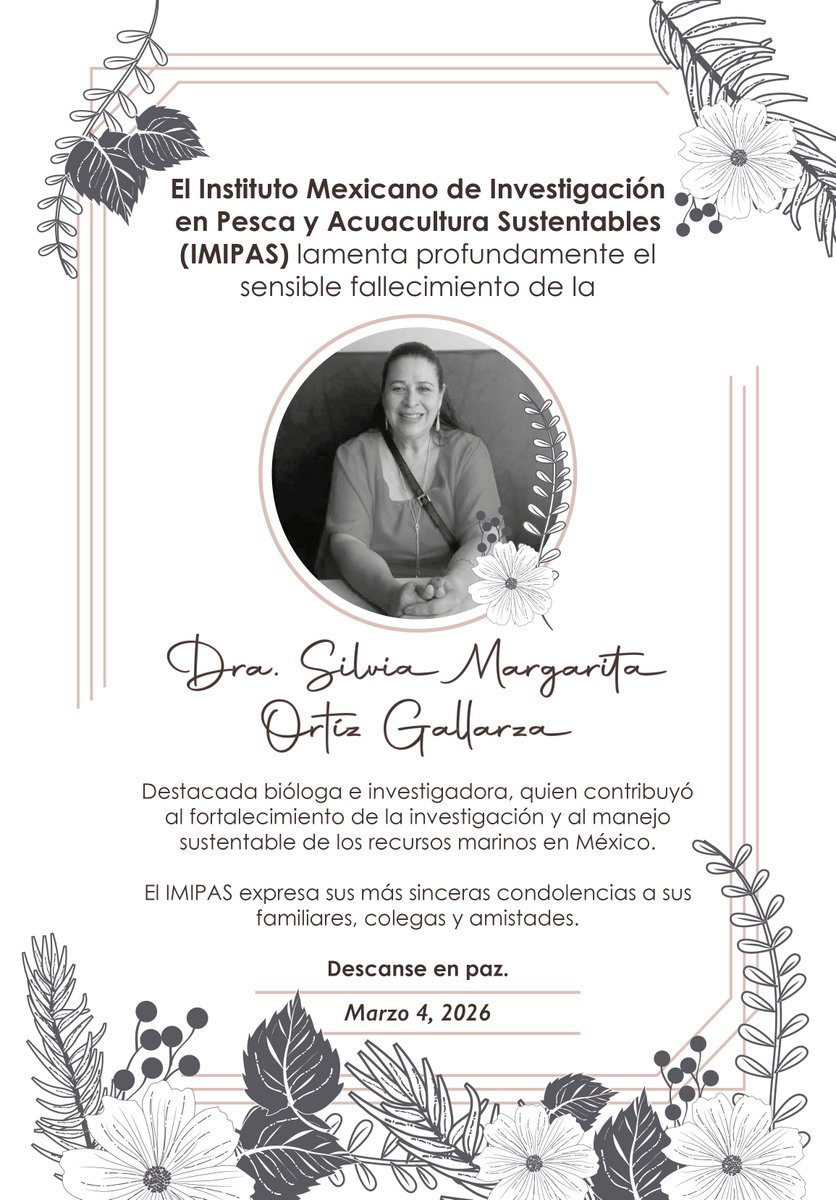 IMIPASmex's tweet photo. El IMIPAS lamenta el fallecimiento de la Dra. Silvia Margarita Ortiz Gallarza, destacada bióloga que contribuyó al conocimiento y manejo sustentable de los recursos marinos en México.
Expresamos nuestras condolencias a sus familiares, colegas y amigos. Descanse en paz. https://t.co/fSsjU31Bo0
