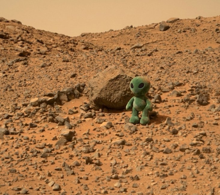 <a href="/elonmusk/">Elon Musk</a> Look closer, the truth is out there.
<a href="/CardanoAliens/">Cardano Aliens</a>