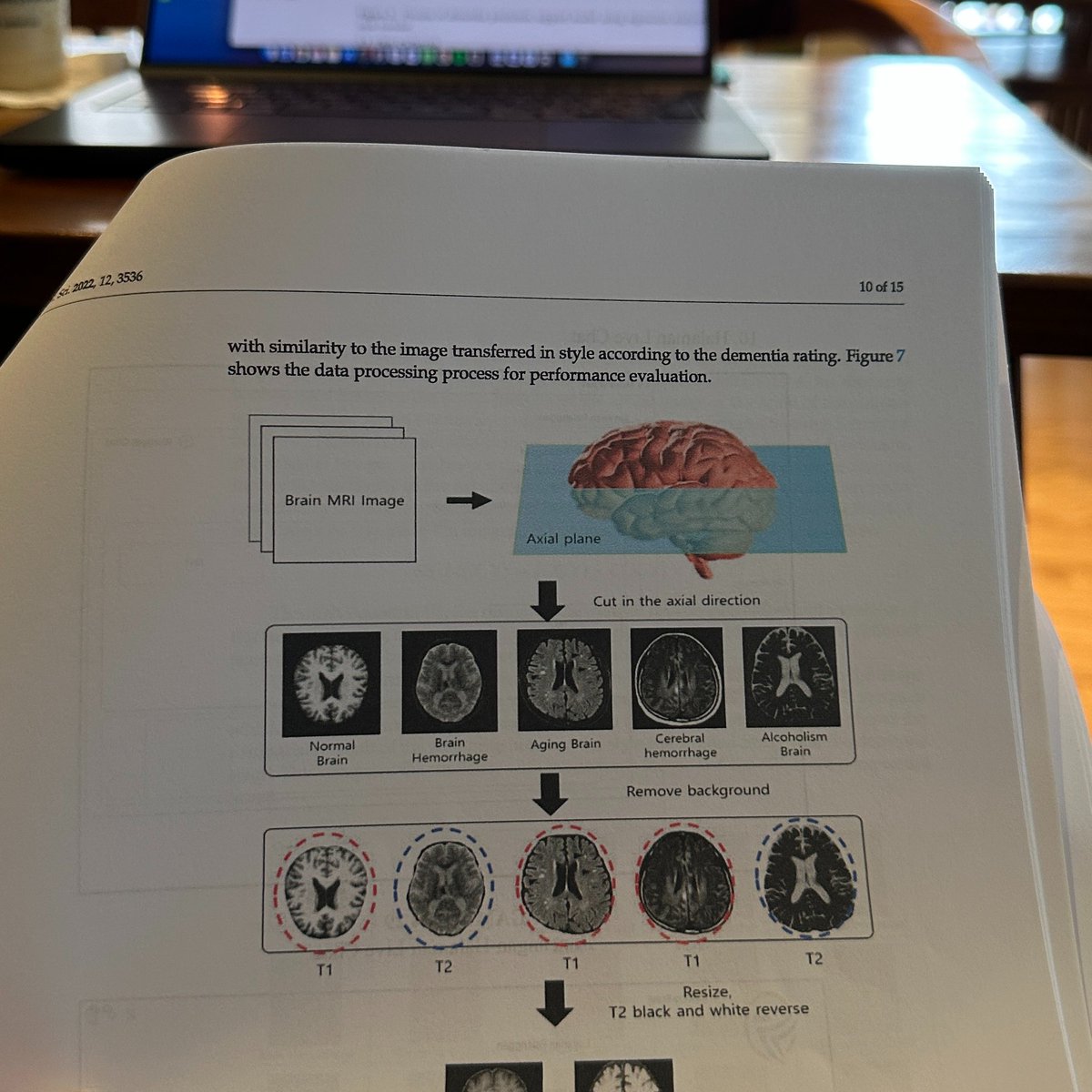 sukajalans's tweet image. hi! i’m Ve. i’m looking for new moots! ˚˖𓍢ִ໋❀ #langtwt #studytwt #ambistwt

⏵ he/him
⏵ i speak Indonesia, English, Teochew &amp;amp; Hakka (chinese dialect)
⏵ currently learning Mandarin
⏵ computer science graduate (computer vision &amp;amp; deep learning specialist)

let’s be moots!!