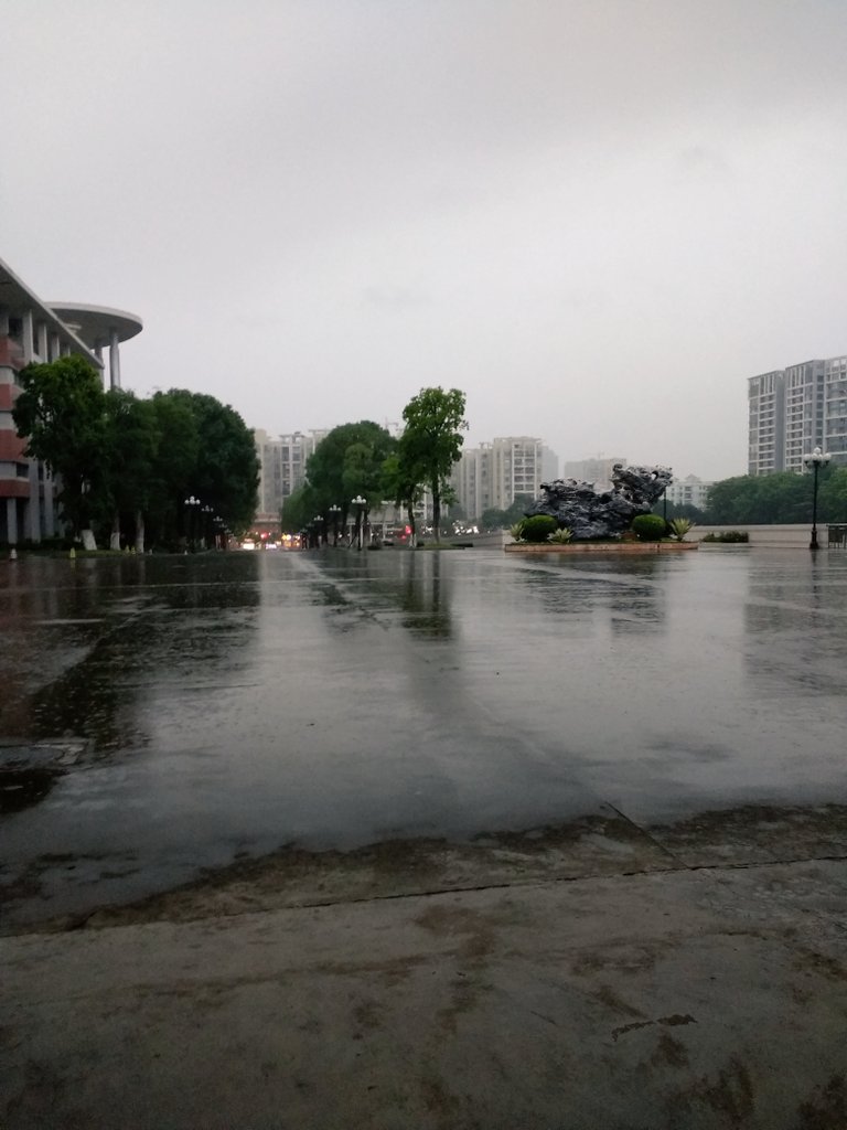 Animosityッ tweet media