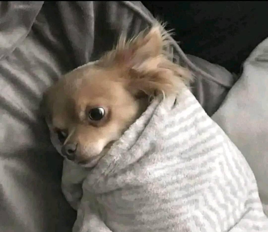 NadeepaSadun's tweet photo. Trade executed, orders set, now it’s time for some well-deserved rest. 💤📈 #TradersLife #SleepModeOn https://t.co/gjYsvZqi02