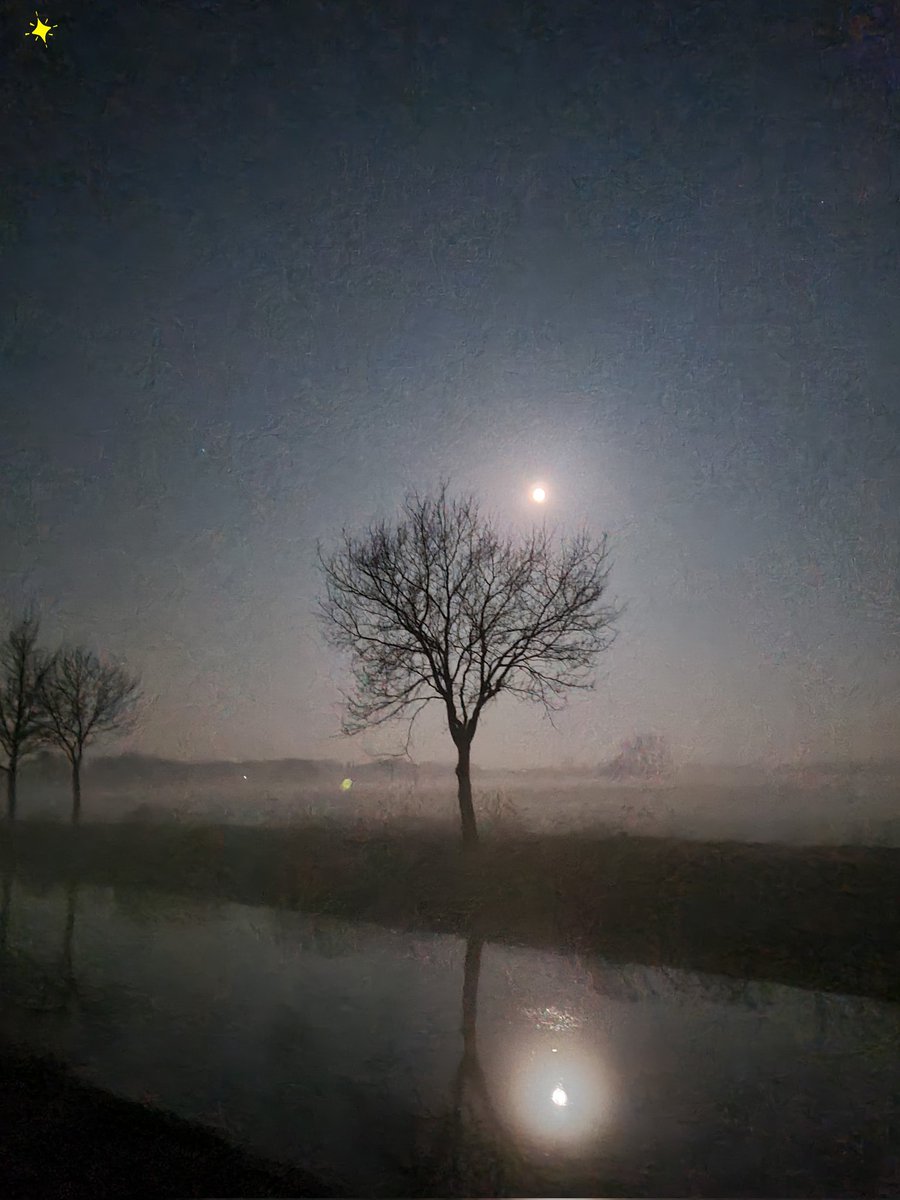 Margreeth0_0's tweet image. Het was wat nevelig maar de maan gaf enorm veel licht. De handschoenen moesten nog wel aan, het was fris. En jawel, de eerste Fietsfoto van het jaar😃🚲 #ThePhotoHour #moon #moonshine #earlystart #woonwerkfietser