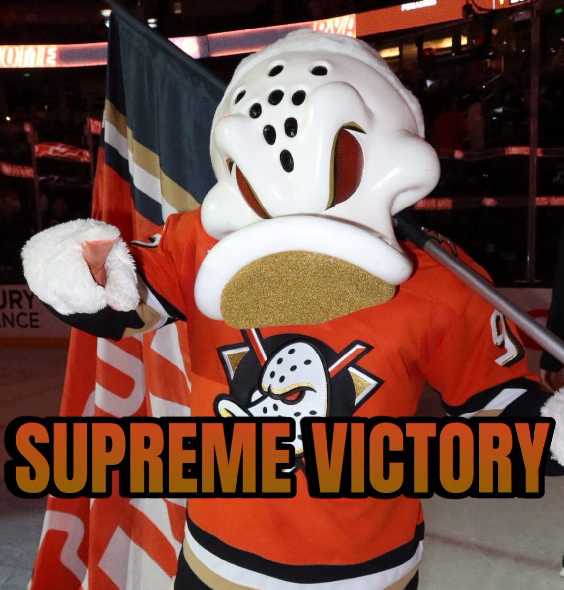 cfiddle123's tweet photo. @AnaheimDucks https://t.co/oE1zGZxK9U