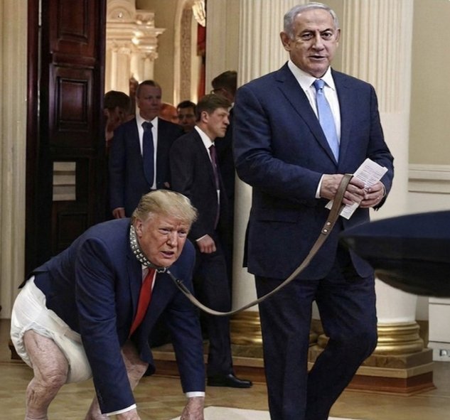 Adhe Majid tweet media