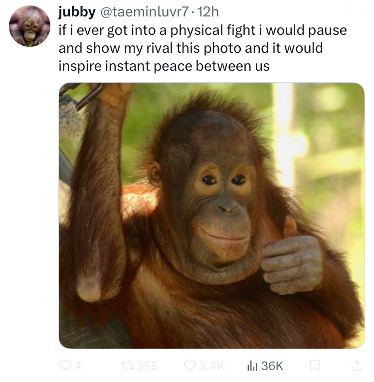 Very ironic to find a semi-large account I’ve never heard of before has me blocked for some reason because I’m unable to retweet this particular post. There will be no peace between us I suppose…