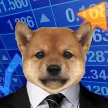 hornydev tweet media