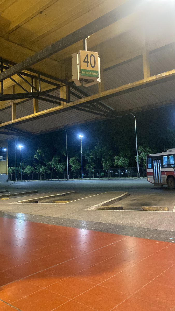 TOMÁS GILADA tweet media