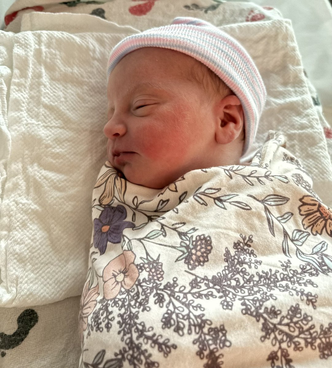 innocent bystander tweet media