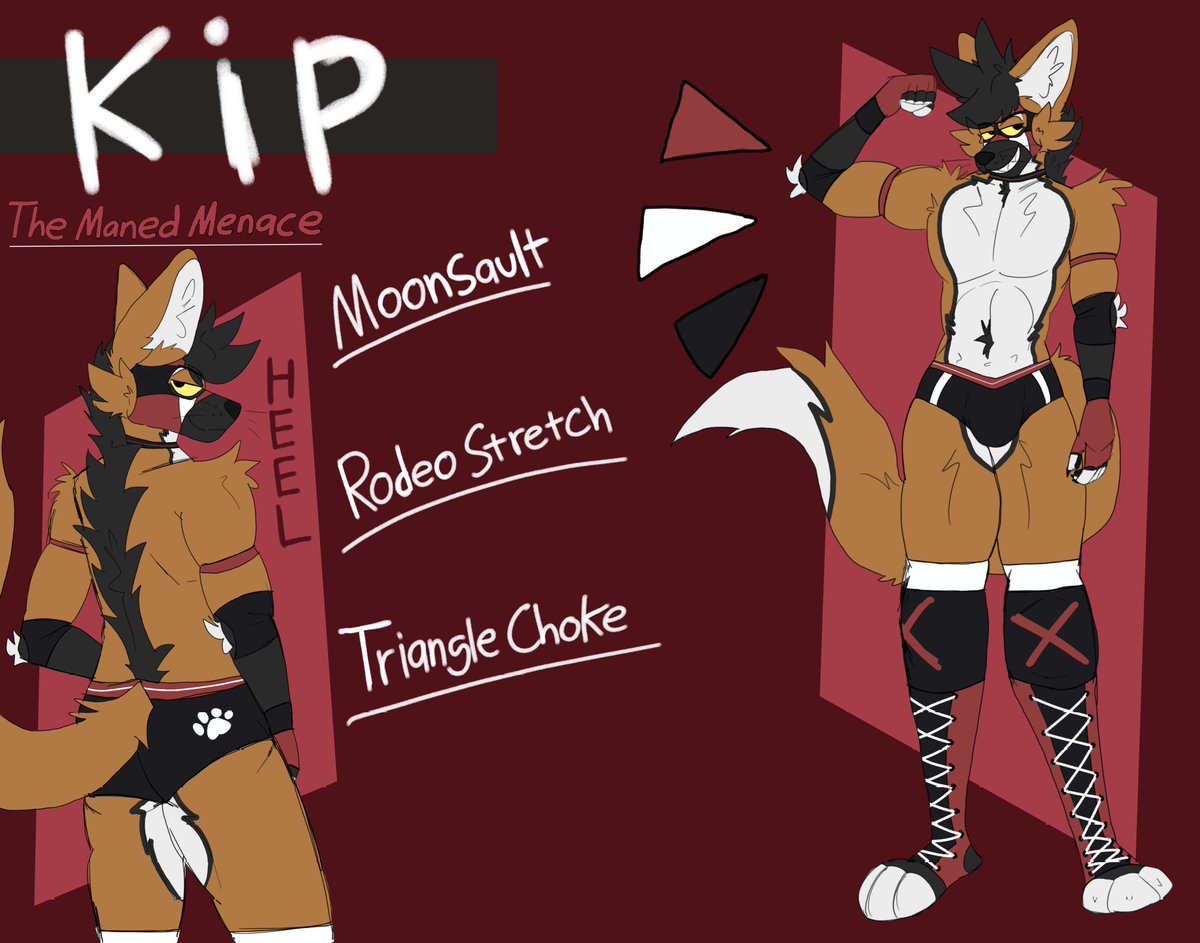 Kippy! 🐾 tweet media