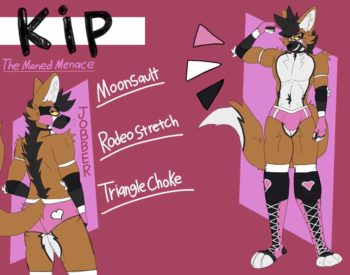 Kippy! 🐾 tweet media