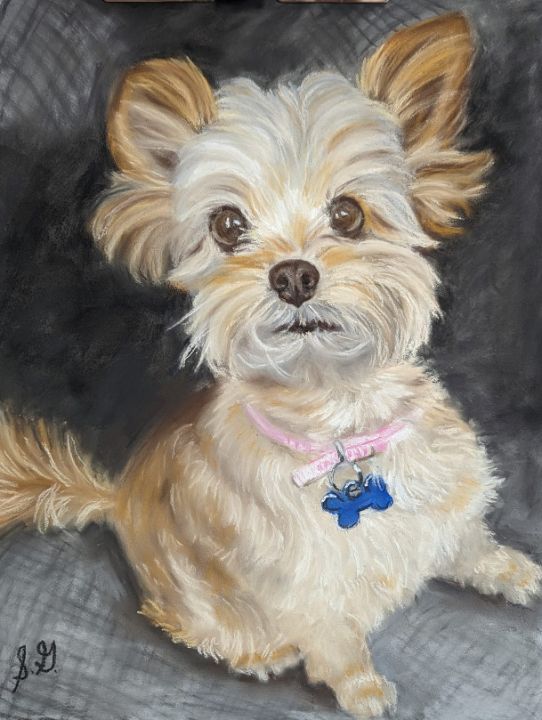 GralingSusan's tweet photo. Art of the Day! "Pet portraits in Pastels". Buy at: https://t.co/9eQdahnSzN https://t.co/X4hvxSKTLL