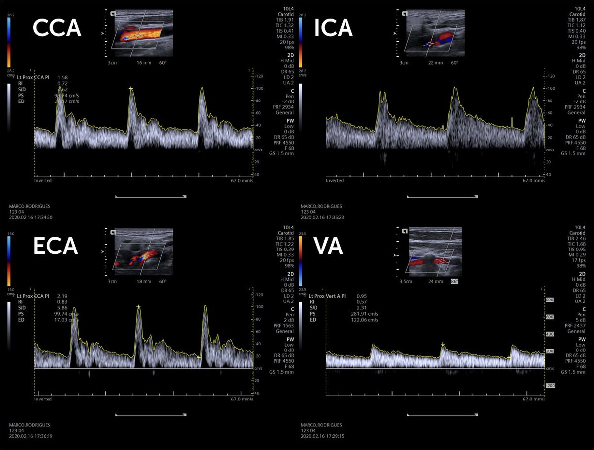 Hassler S. Macías-Sánchez tweet media