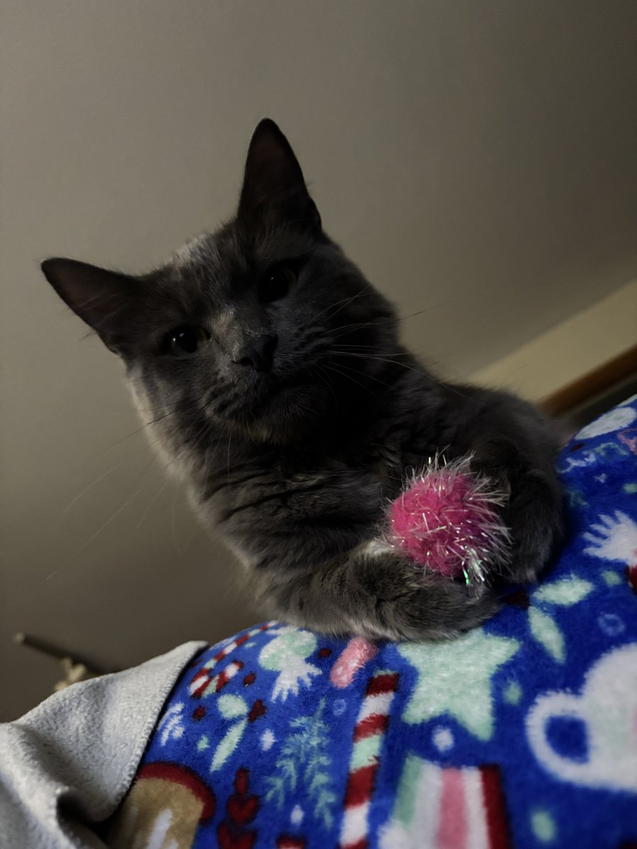 bray 💌 tweet media