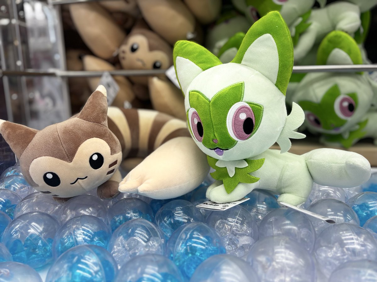 🤎💚新商品入荷情報💚🤎 ポケットモンスター もふぐっと しっぽみて