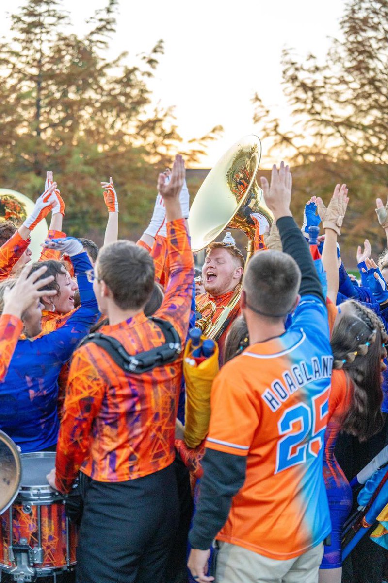 Eastern Brown Bands tweet media