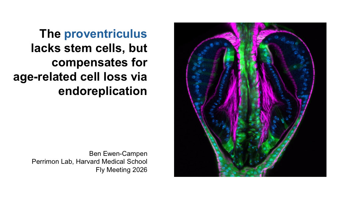 Ben Ewen-Campen tweet media