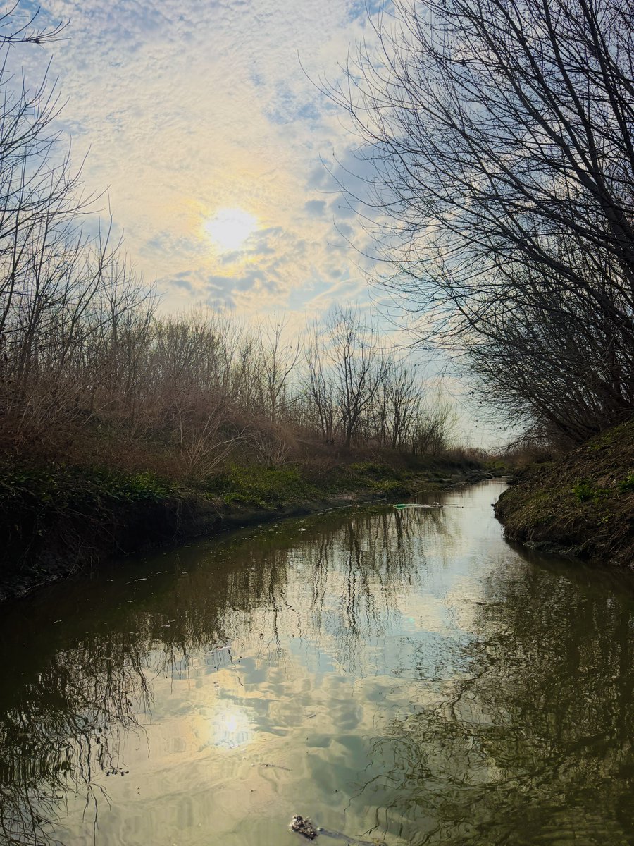 Wombat_Mätt ✭ tweet media