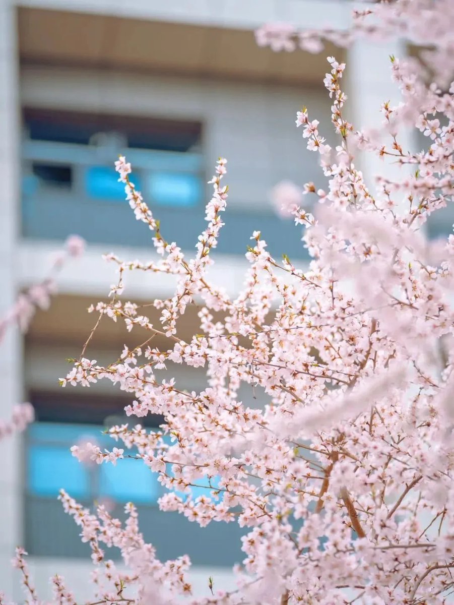 Wade（互fo） tweet media