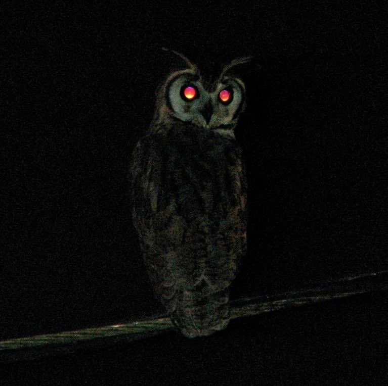 DrakeAligned tweet media