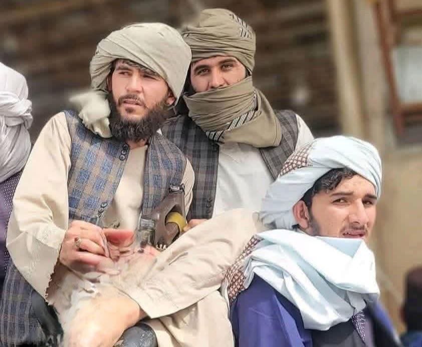 Obaid9701475144's tweet photo. غازیان🦅🤲 https://t.co/444ry89F3A