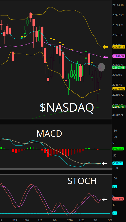 ChartingKatrina❤️🔥🎀 tweet media