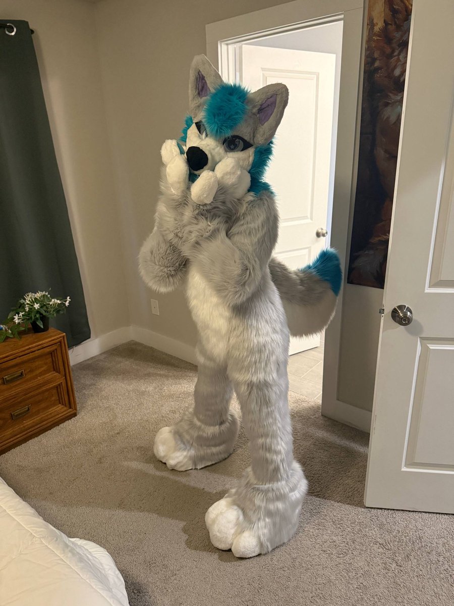 MarkWulf tweet media