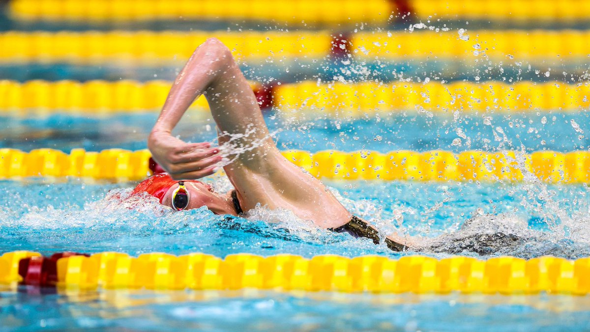 CSB Athletics tweet media