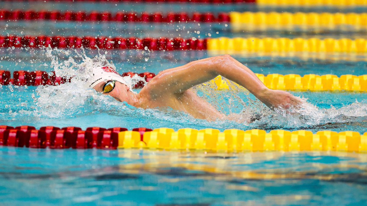 CSB Athletics tweet media