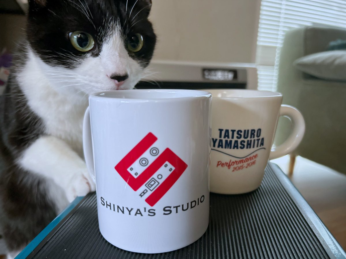 KEN OGATA tweet media