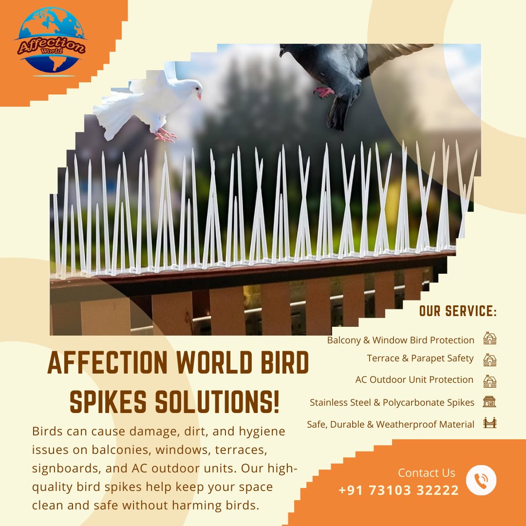 affectionworld1's tweet photo. 🕊️🚫 Affection World – Bird Spikes Installation Service 🚫🕊️
Keep your home &amp; office clean and bird-free with Affection World!
📞 Contact us today for quick installation &amp; free site visit.
#AffectionWorld #BirdSpikes #BirdControl #BalconySafety #PigeonProblem #TerraceProtection https://t.co/jNvBmfWdwj