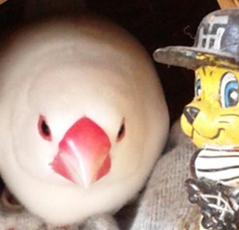 最近(今頃になって😅) 気がついたのだけど プロフィール欄に 20○○年