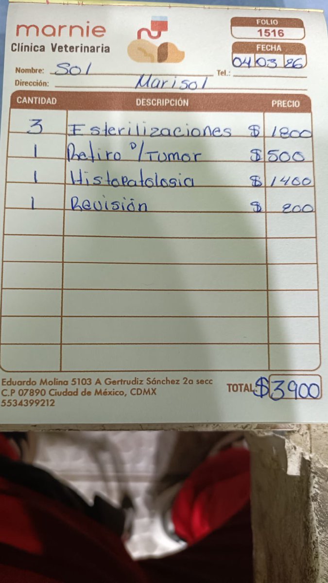 HELA_MORE's tweet photo. Amigos, necesitamos su ayuda 🥺

Hoy debemos $3,900 en la veterinaria.
Y mañana van otros perritos a esterilizarse, así que los gastos continúan.

Tenemos $3,000 de los boletos de las rifas que se han vendido ese dinero lo íbamos a usar para comprar croquetas,pero decidimos usarlo para pagar la cuenta en la clínica, porque es urgente.

Solo nos faltan $900 para completar el pago de hoy. 🙏🏻

¿Nos ayudan a reunirlos, por favor?