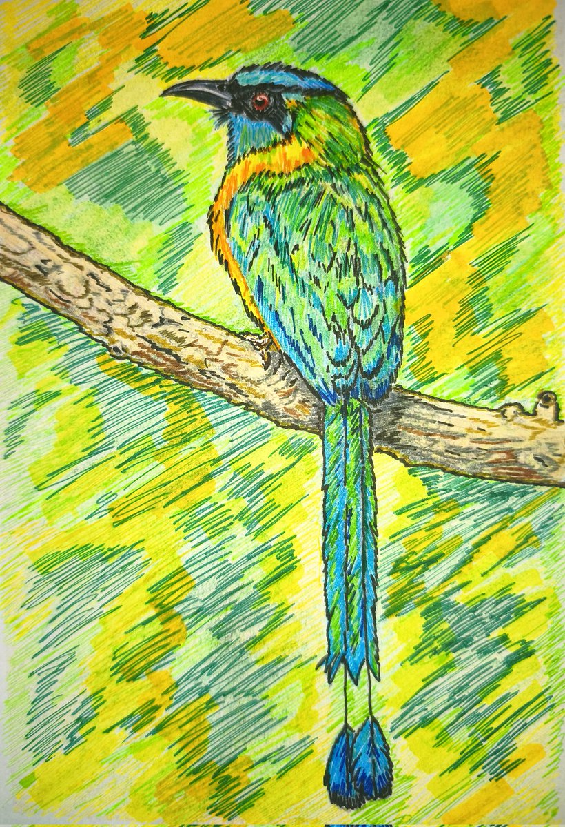 ProfePajarero's tweet photo. #drawingart #miercolesdeemplumados
#birdwatching 
#birdlovers 
#dibujos https://t.co/ijIQnSA3cU