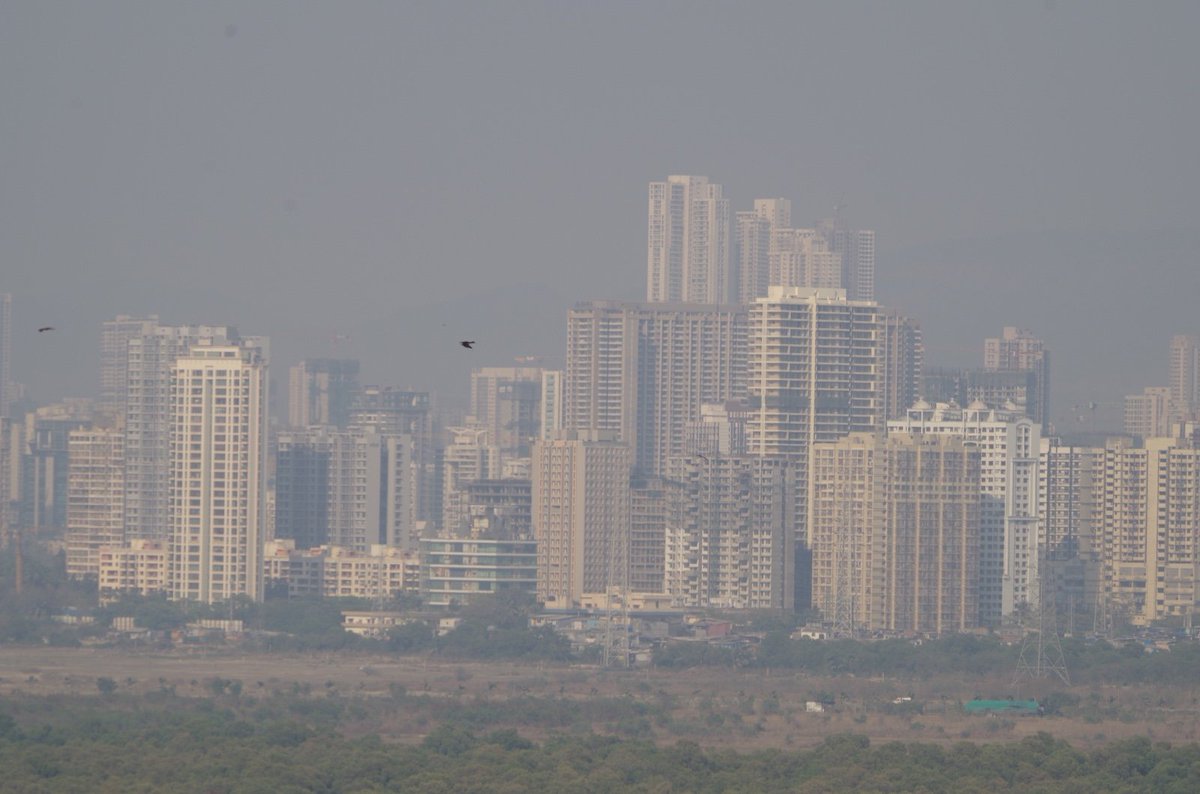 Subuhi Jiwani tweet media