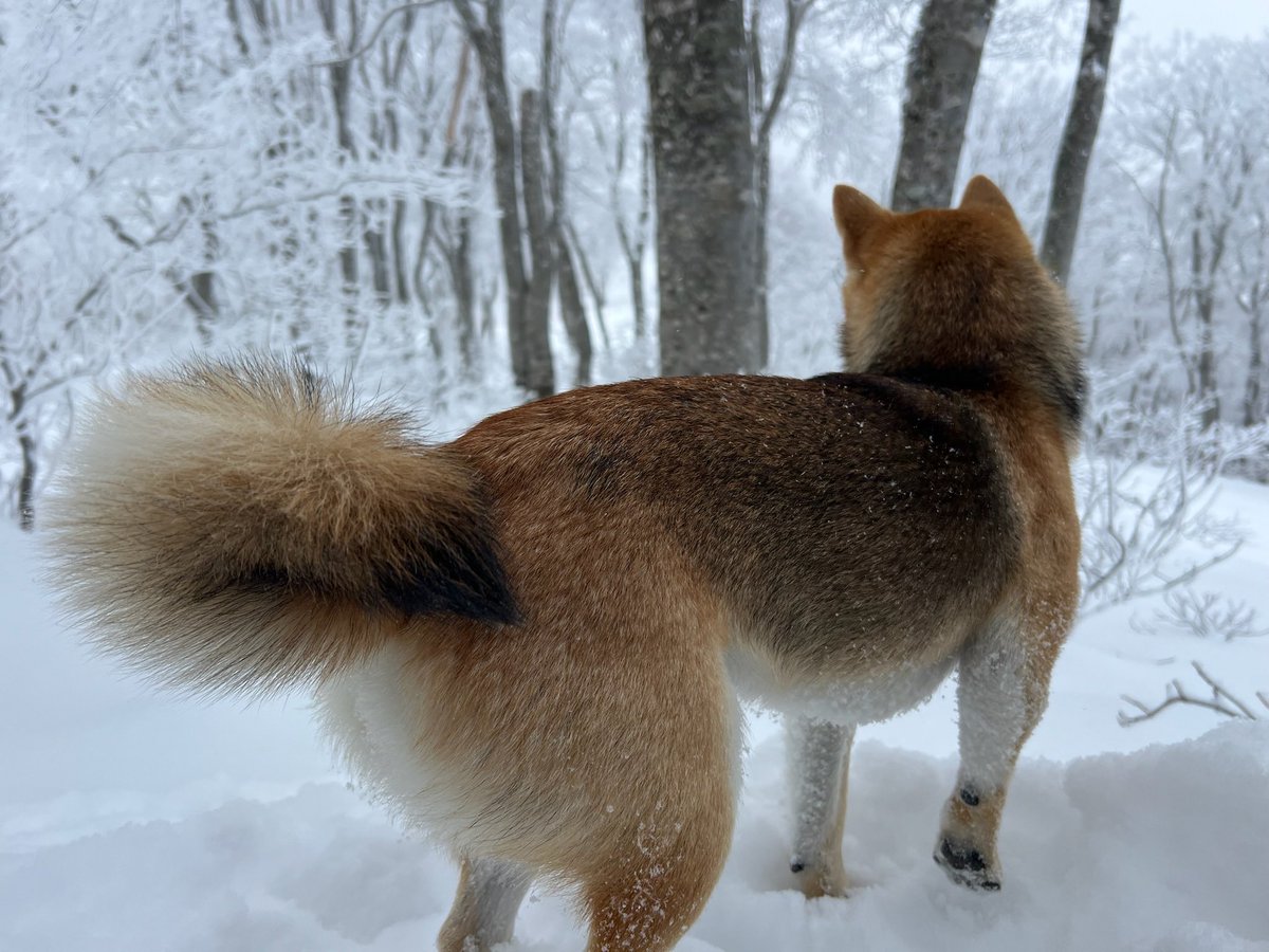 Kantaro San tweet media