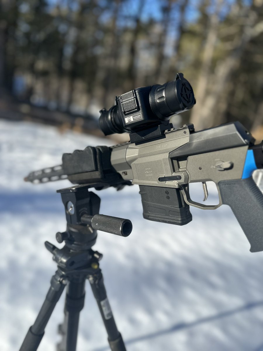 LordOfWar tweet media