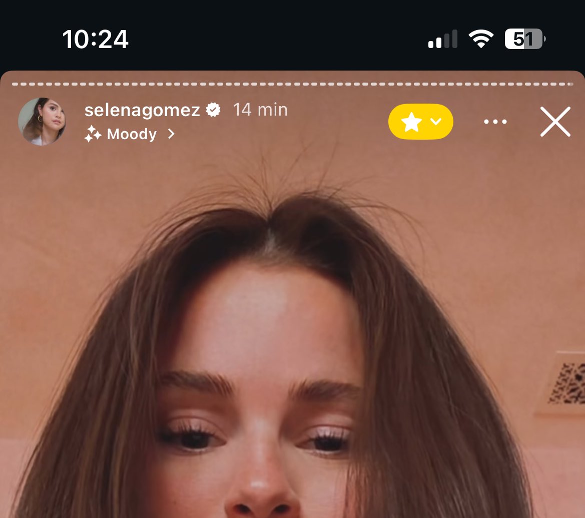 sophia tweet media