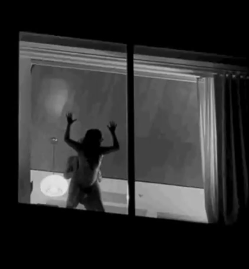 The Zodiac Boss tweet media