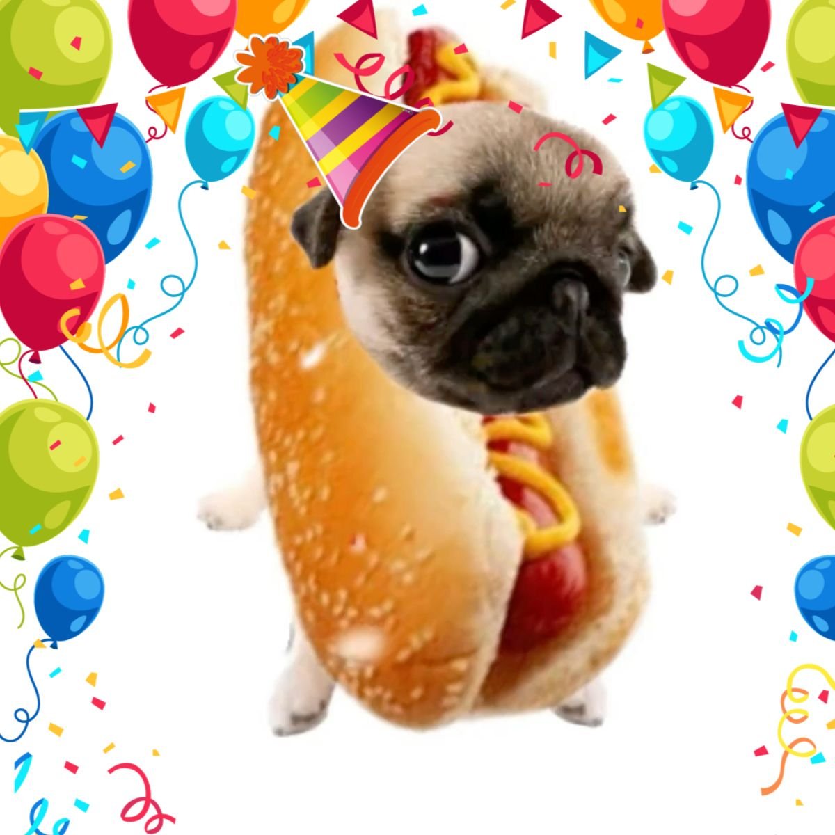 Sahucing🛸 tweet media