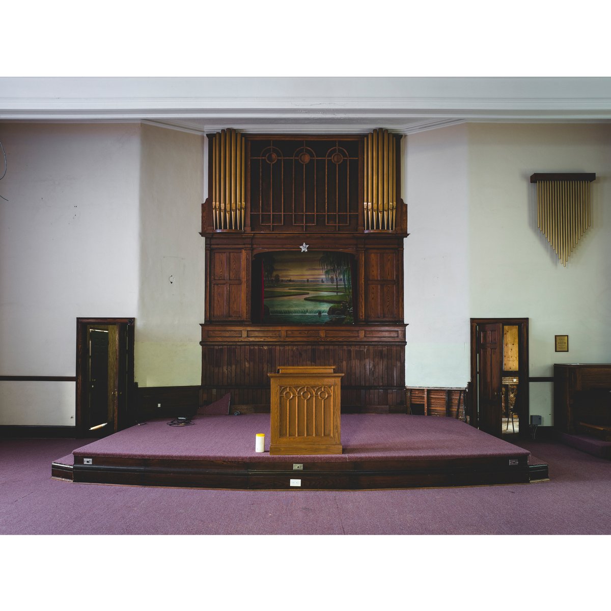 RealJonathanCastellino tweet media