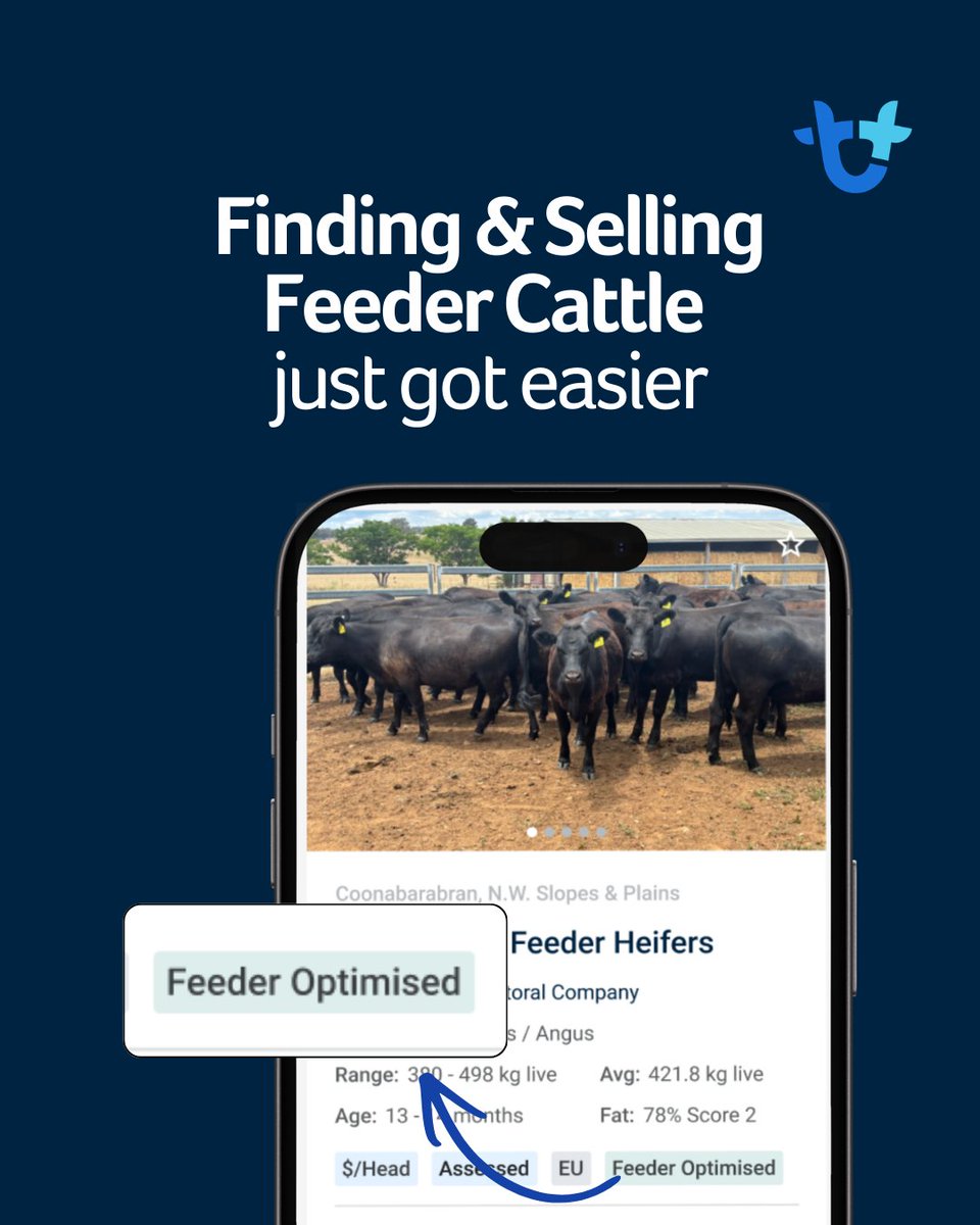 AuctionsPlus tweet media