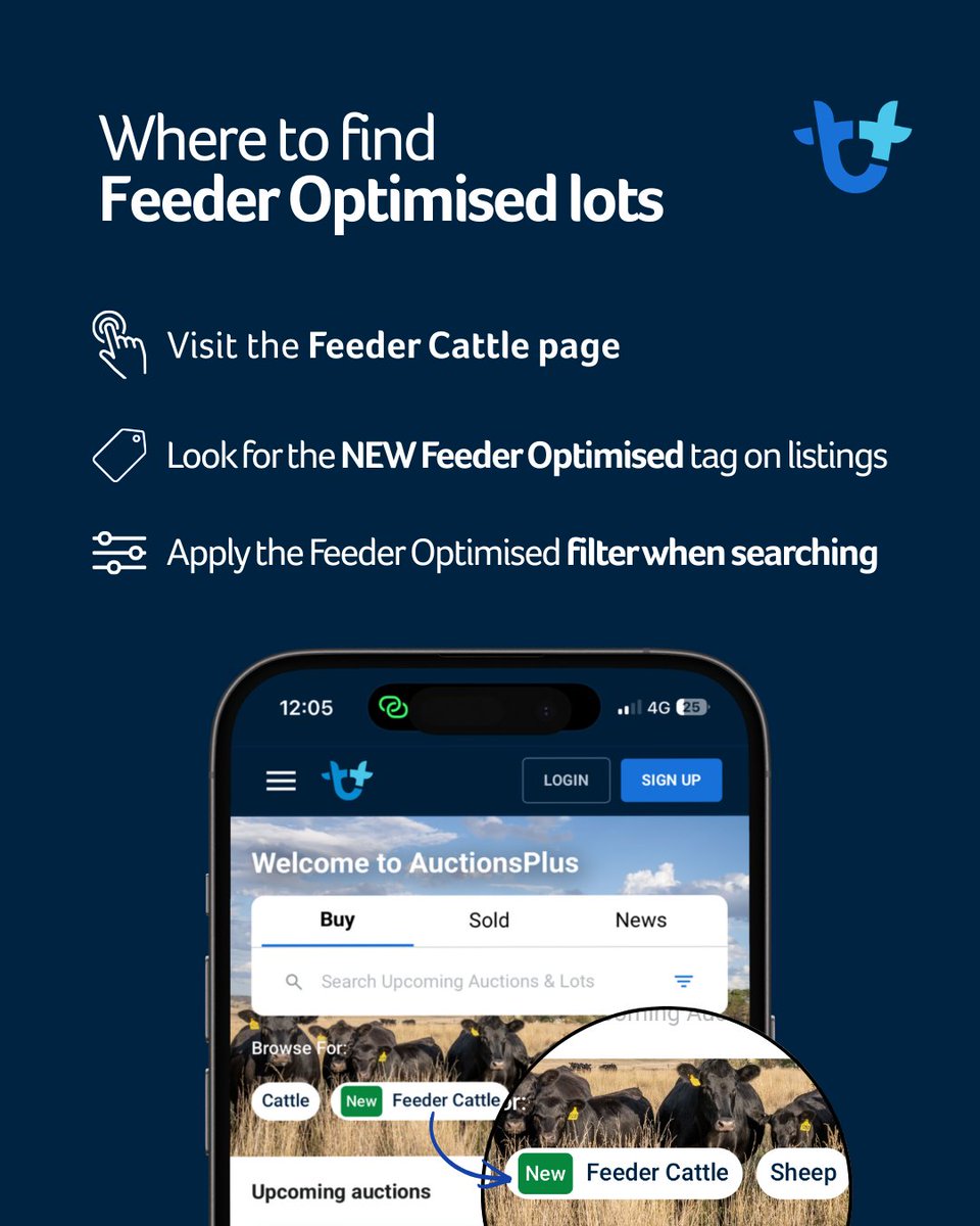 AuctionsPlus tweet media