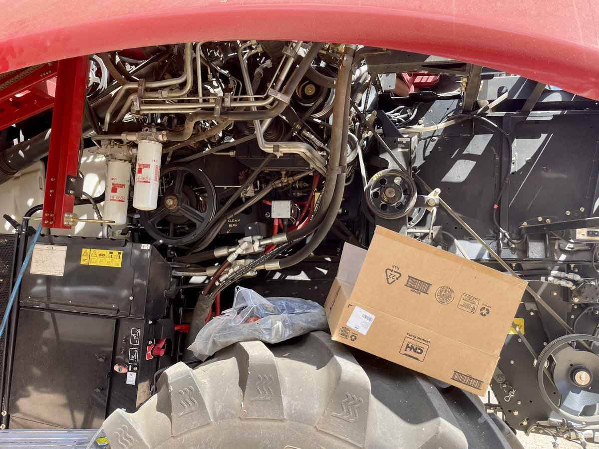 Rod Gribble tweet media