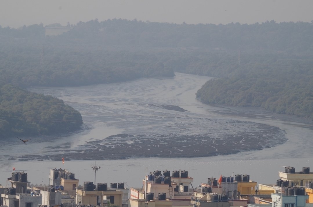 Subuhi Jiwani tweet media