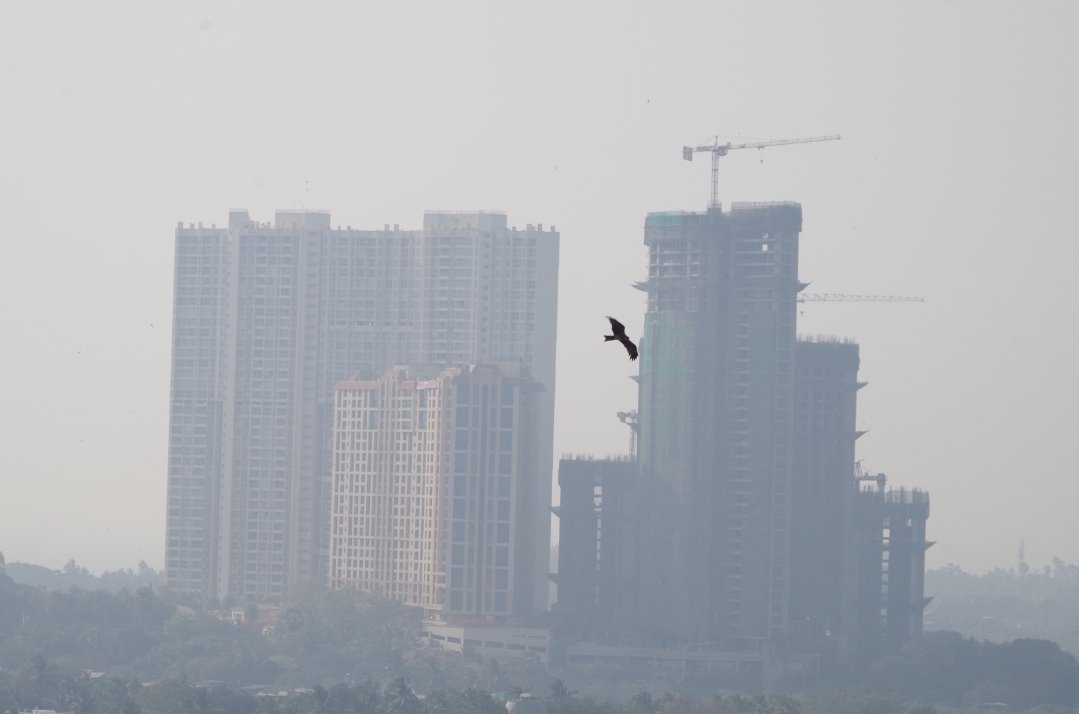 Subuhi Jiwani tweet media