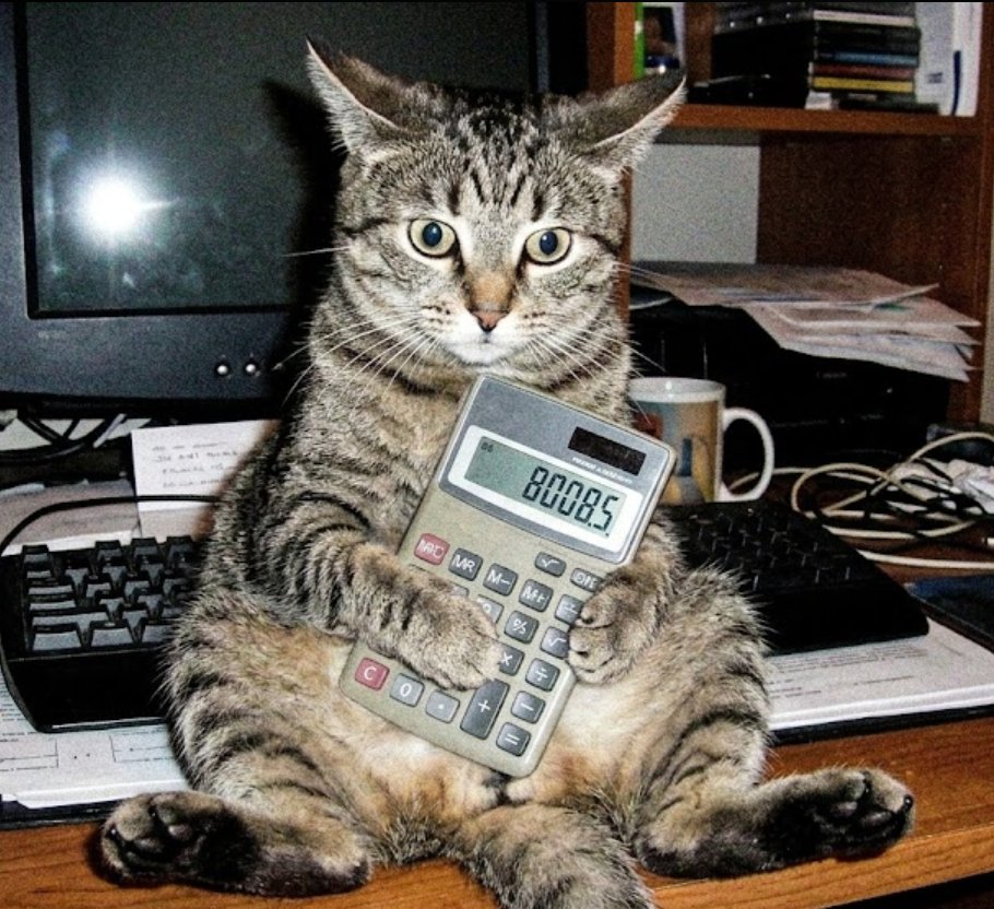 Milo Finn⚡️ tweet media