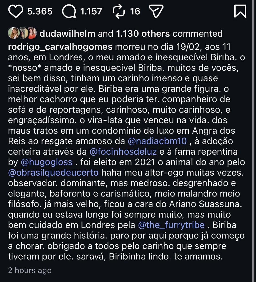 Rodrigo Carvalho tweet media