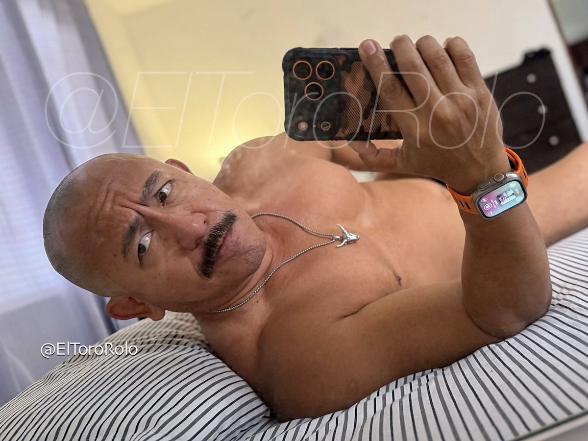 El Toro Rolo tweet media